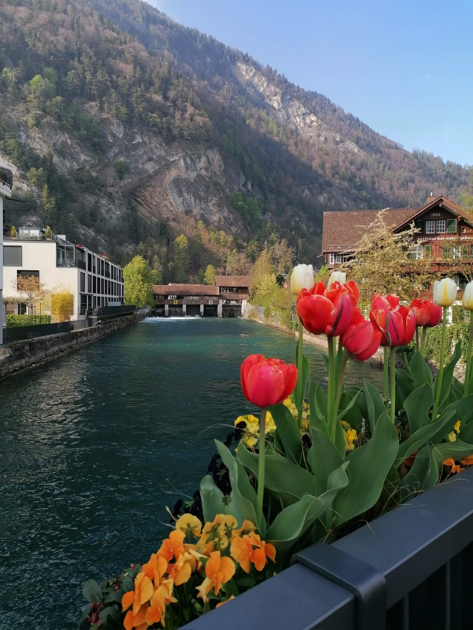 5F661EE2-D79F-454C-AB04-19192EB150D3_1_102_o